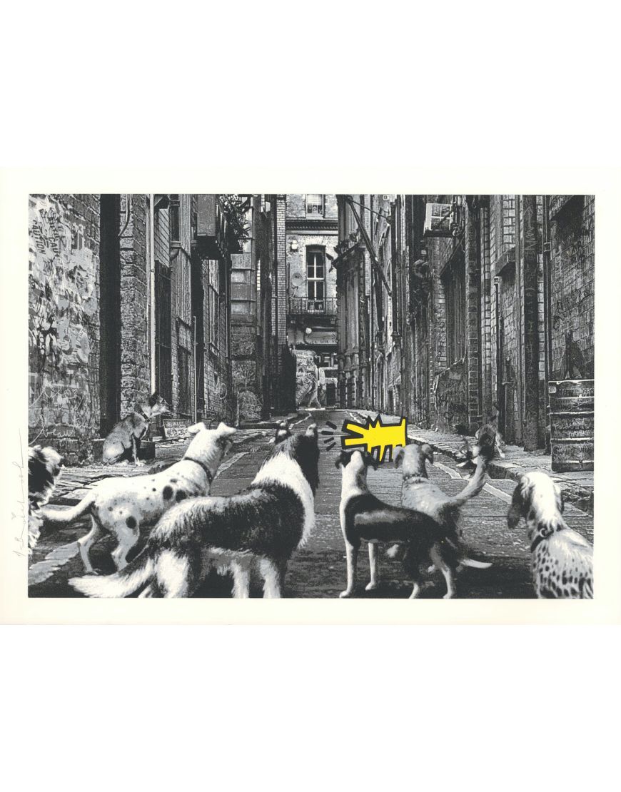 Alley Dogs - Giallo