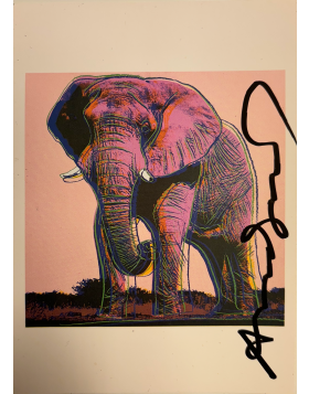 African Elephant - Invitation Card