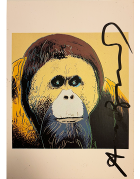 Orangutan - Invitation Card