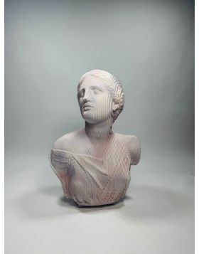 Delicate Speranza