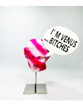 I'm Venus...Bitches