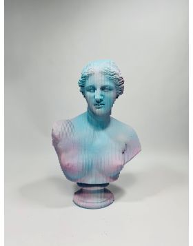 Venus Pink and Light Blue Shades