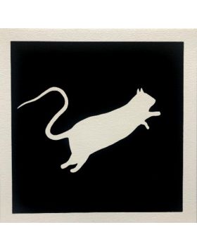 White rat (on black background)