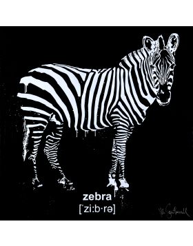 Zebra