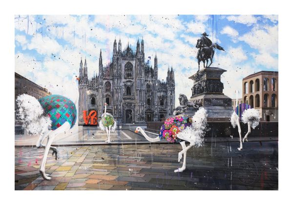 Ostriches in Milan