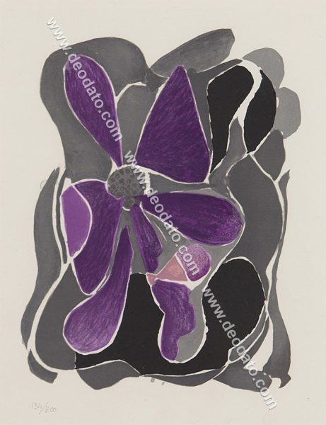 Fiori viola