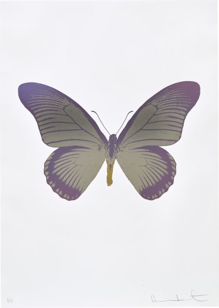The Souls IV