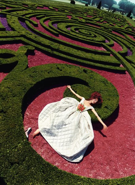 Collapse In A Garden