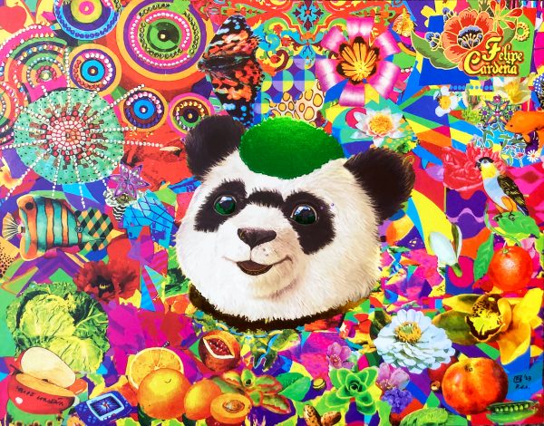 FELIPANDA