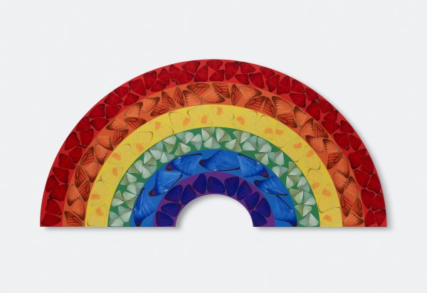 Butterfly Rainbow