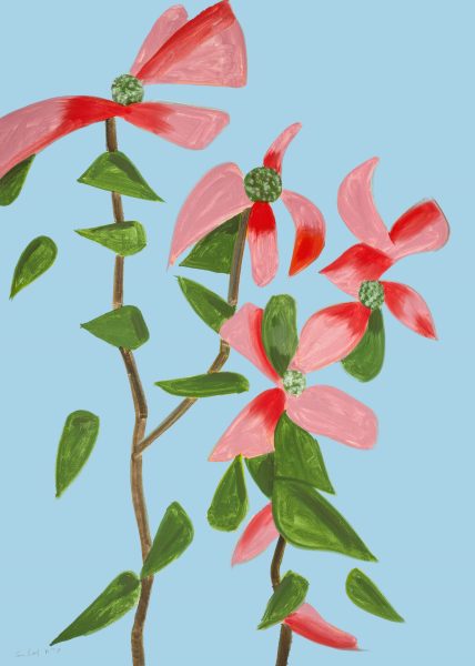 Red Dogwood 2 (from Flowers)