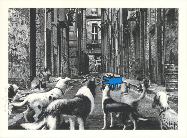 Alley Dogs - Blu