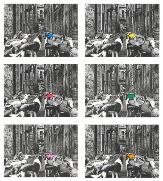 Alley Dogs - Set Completo