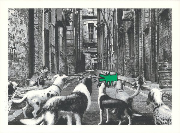 Alley Dogs - Verde