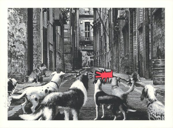 Alley Dogs - Rosso