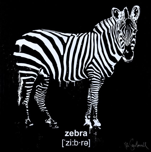 Zebra